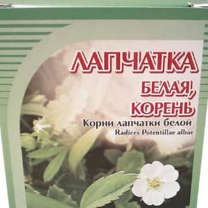 Корень лапчатки белой