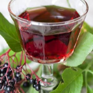 Бузина травянистая рецепты