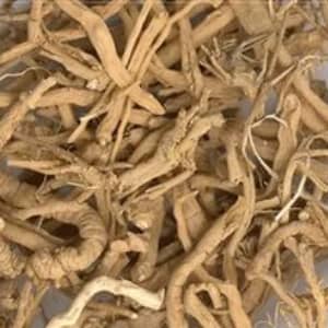 Истод корни