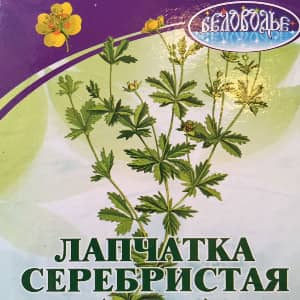 Лапчатка серебристая народная медицина