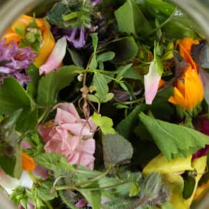 Миома матки народное лечение