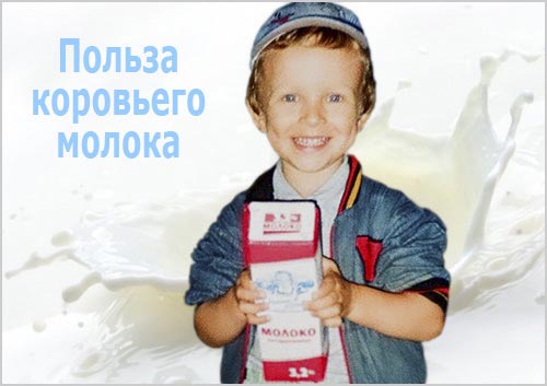 О пользе и вреде молока