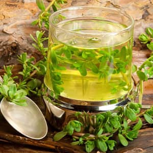 Лечение стоматита народными средствами