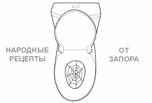 Унитаз и паутина