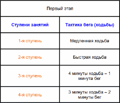Первые четыре ступени тренировочного процесса