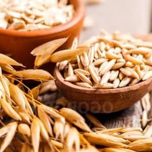 Овес посевной применение