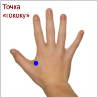 Точка на кисти руки