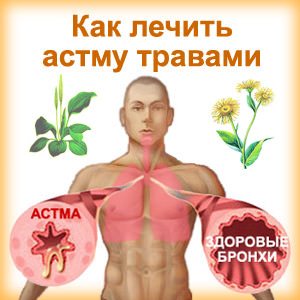 астму травами
