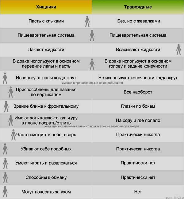 Хищник или травоядное