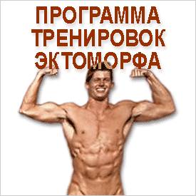 Упражнения для эктоморфного типа телослжения