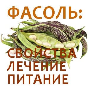 Фасоль