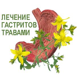 Лечение гастритов травами