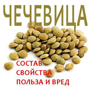 Полезные свойства чечевицы