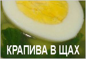 Применение крапивы в первых блюдах