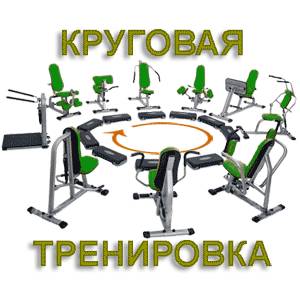 круговая тренировка