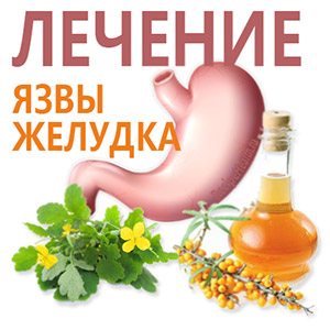 Желудок и травы