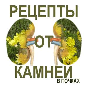Как лечить почки