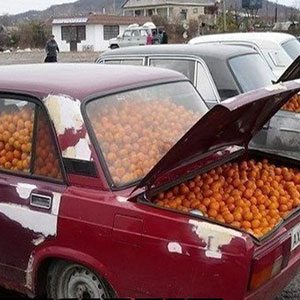 мандарины в жигулях