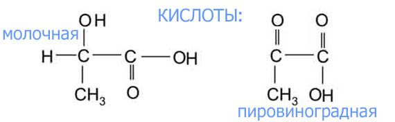 Реультат гликолиза - кислые продукты