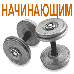 Начальный бодибилдинг