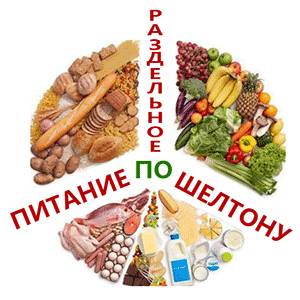 Диета Шелтона