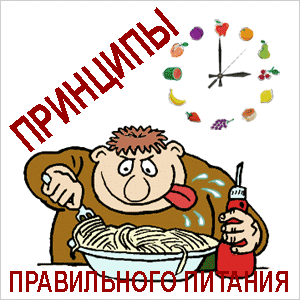 основные правила питания