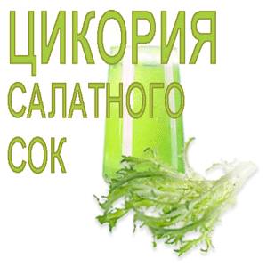 Цикория-эндивия сок