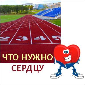 сердце и сопрт