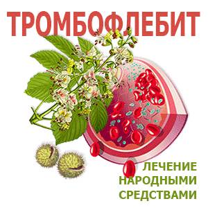 Конский каштан от тромбофлебита