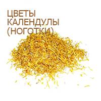 календулы цветки