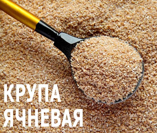 Крупа ячневая