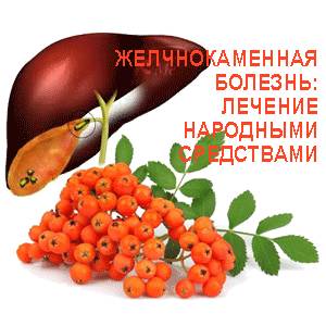 Лечение рябиной желчнокаменной болезни