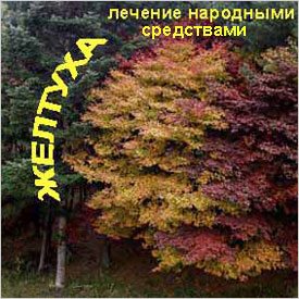 Символичное обозначение желтухи